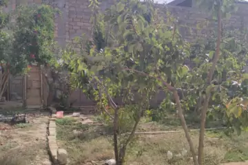 Satılır Həyət Evi Hökməlidə