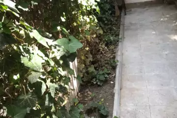 Satılır Köhnə Tikili Elmler Akademiyasıda