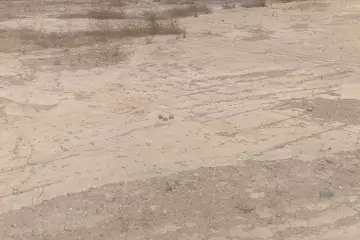 Satılır Torpaq Badamdarda