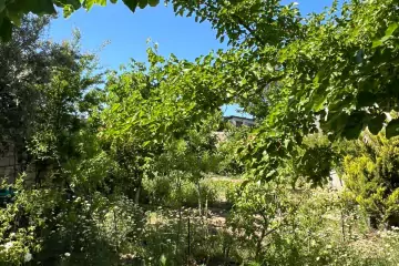 Satılır Bağ Evi Buzovnada