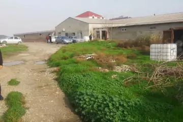 Satılır Obyekt Masazırda