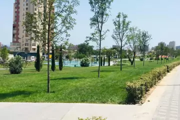 Satılır Köhnə Tikili Elmler Akademiyasıda