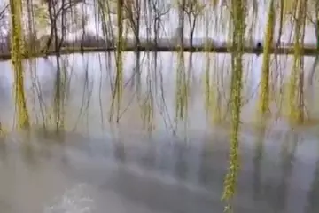 Satılır Obyekt Qəbələ Rayonunda