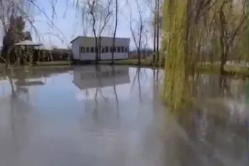 Satılır Obyekt Qəbələ Rayonunda