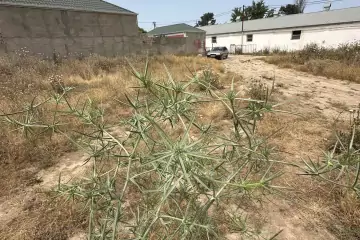 Satılır Torpaq Yeni Ramana Qəsəbəsida