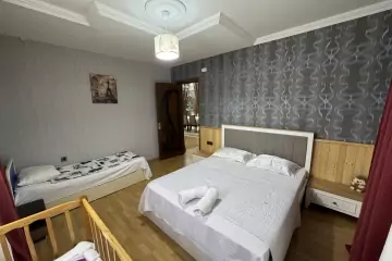 Günlük Kirayə Villa Qəbələ şəhərində
