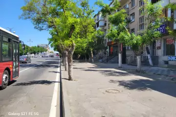 Aylıq Kirayə Obyekt Kaktusda