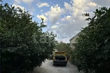 Satılır Torpaq Pirallahıda