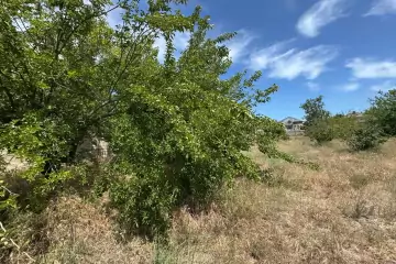 Satılır Torpaq Nardaranda
