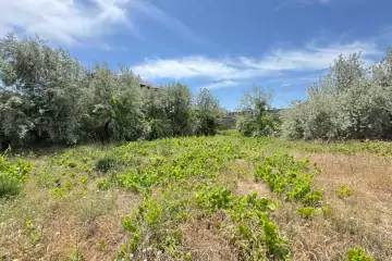 Satılır Torpaq Nardaranda