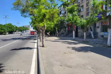 Aylıq Kirayə Obyekt Kaktusda