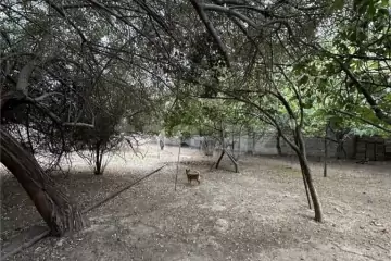 Satılır Torpaq Pirallahıda