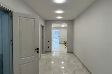 Aylıq Kirayə Obyekt Kaktusda