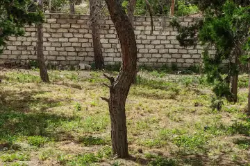 Satılır Torpaq 8-ci Kilometrdə