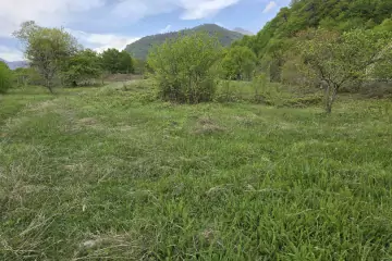 Satılır Torpaq Bum Qəsəbəsində