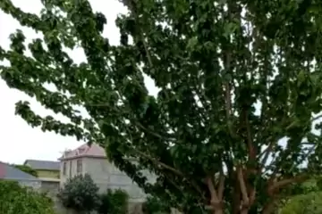 Satılır Həyət Evi Maştağada
