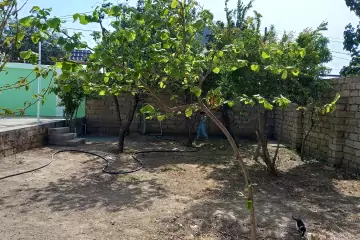 Satılır Həyət Evi Savalan Qəsəbəsida