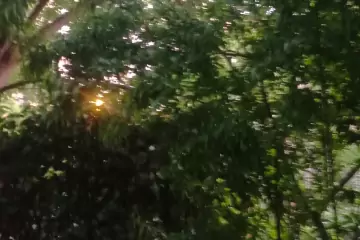 Satılır Köhnə Tikili Ukraniya Dairəsida