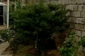 Satılır Həyət Evi Maştağada