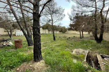 Satılır Torpaq Buzovnada