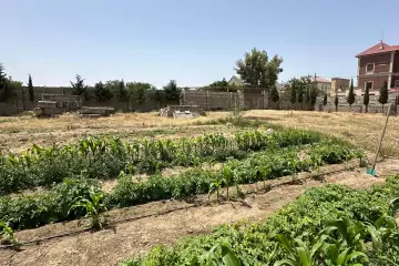 Satılır Torpaq Buzovnada