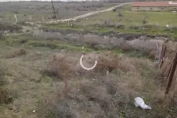 Satılır Torpaq Sarayda