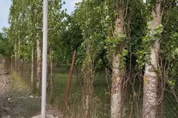 Satılır Torpaq Quba Rayonunda