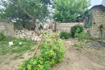 Satılır Torpaq Bilgəhdə