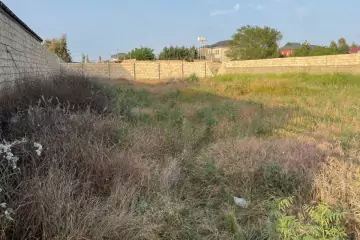 Satılır Torpaq Nardaranda