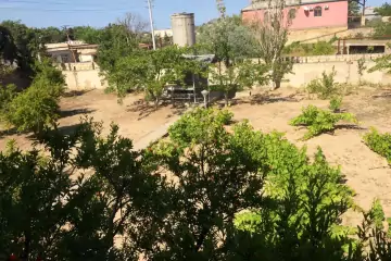 Aylıq Kirayə Bağ Evi Pirşağıda