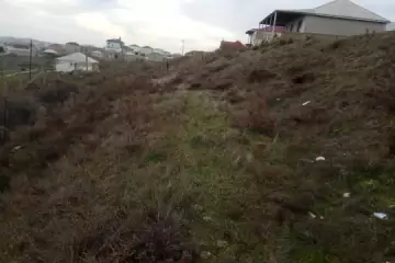 Satılır Torpaq Sarayda