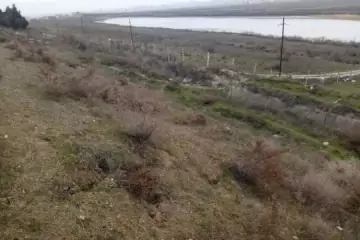 Satılır Torpaq Sarayda