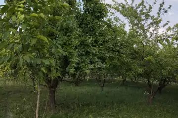 Satılır Torpaq Quba Rayonunda