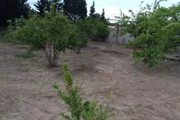 Aylıq Kirayə Bağ Evi Pirşağıda