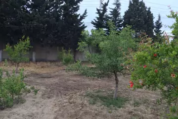 Aylıq Kirayə Bağ Evi Pirşağıda