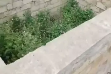 Satılır Torpaq Zabrat Qəsəbəsida
