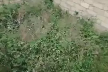 Satılır Torpaq Zabrat Qəsəbəsida