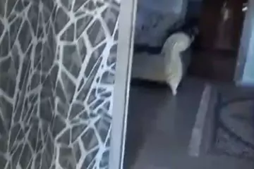 Satılır Həyət Evi Balaxanıda