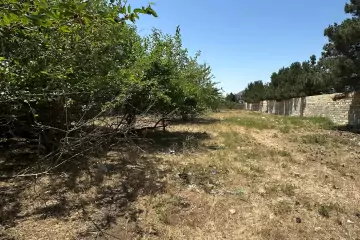 Satılır Torpaq Bilgəhdə