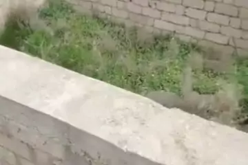 Satılır Torpaq Zabrat Qəsəbəsida