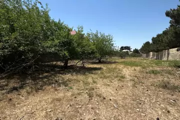 Satılır Torpaq Bilgəhdə