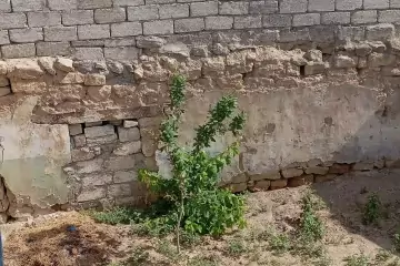 Satılır Həyət Evi Buzovnada