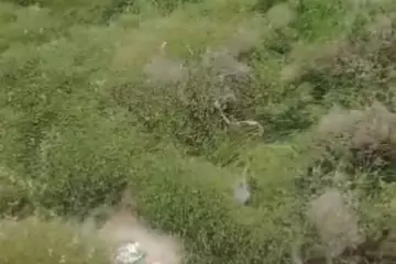 Satılır Torpaq Zabrat Qəsəbəsida