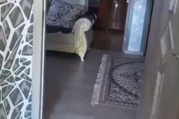 Satılır Həyət Evi Balaxanıda