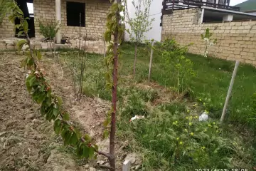 Satılır Bağ Evi Mehdiabad (abşeron)da