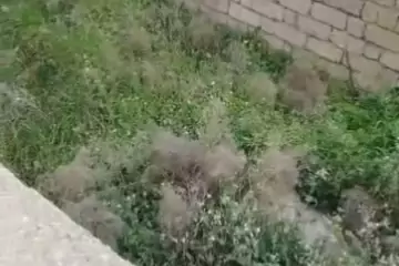 Satılır Torpaq Zabrat Qəsəbəsida