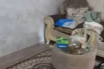 Satılır Həyət Evi Balaxanıda