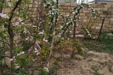 Satılır Bağ Evi Mehdiabad (abşeron)da