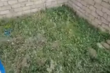 Satılır Torpaq Zabrat Qəsəbəsida