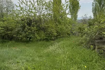 Satılır Torpaq Göygöl Rayonunda